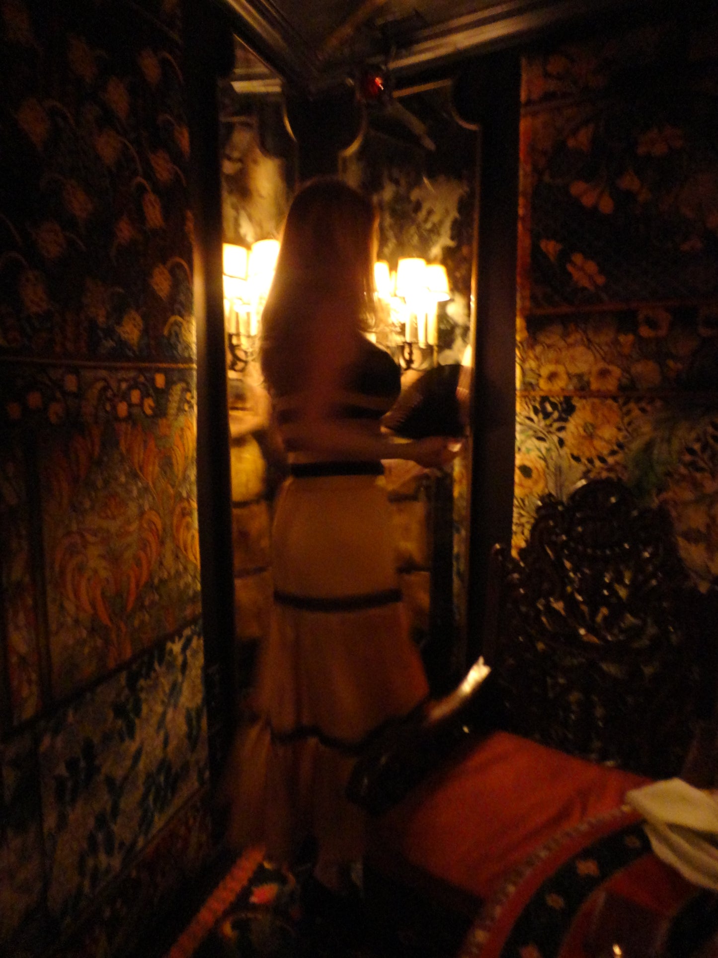 Echo in The Canyon Skirt