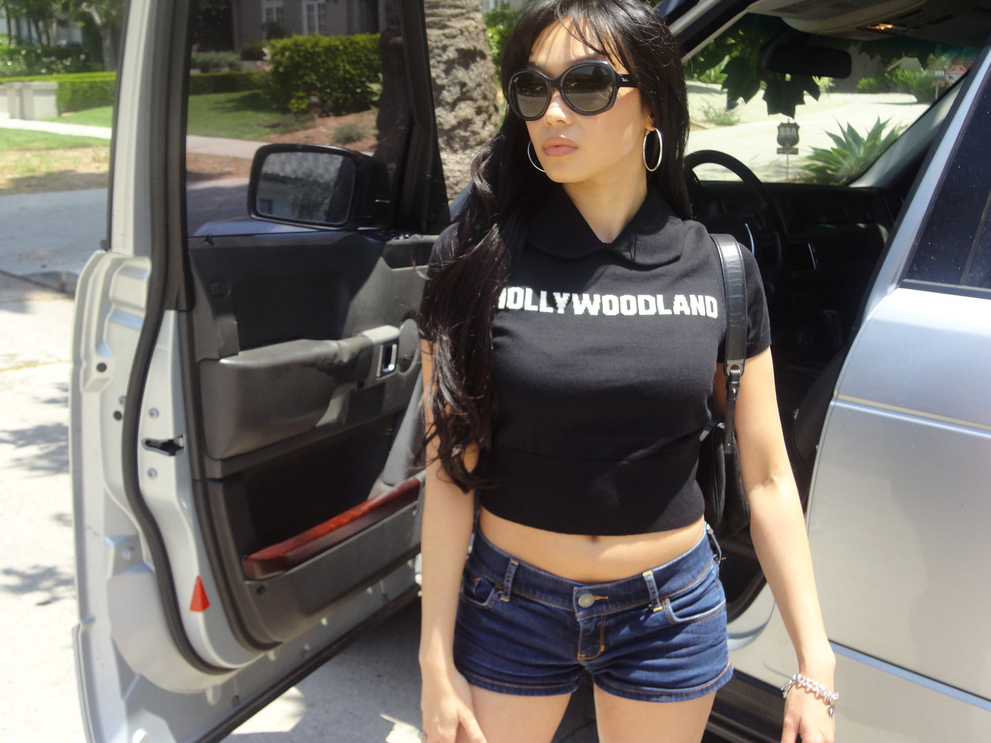Hollywoodland Knit