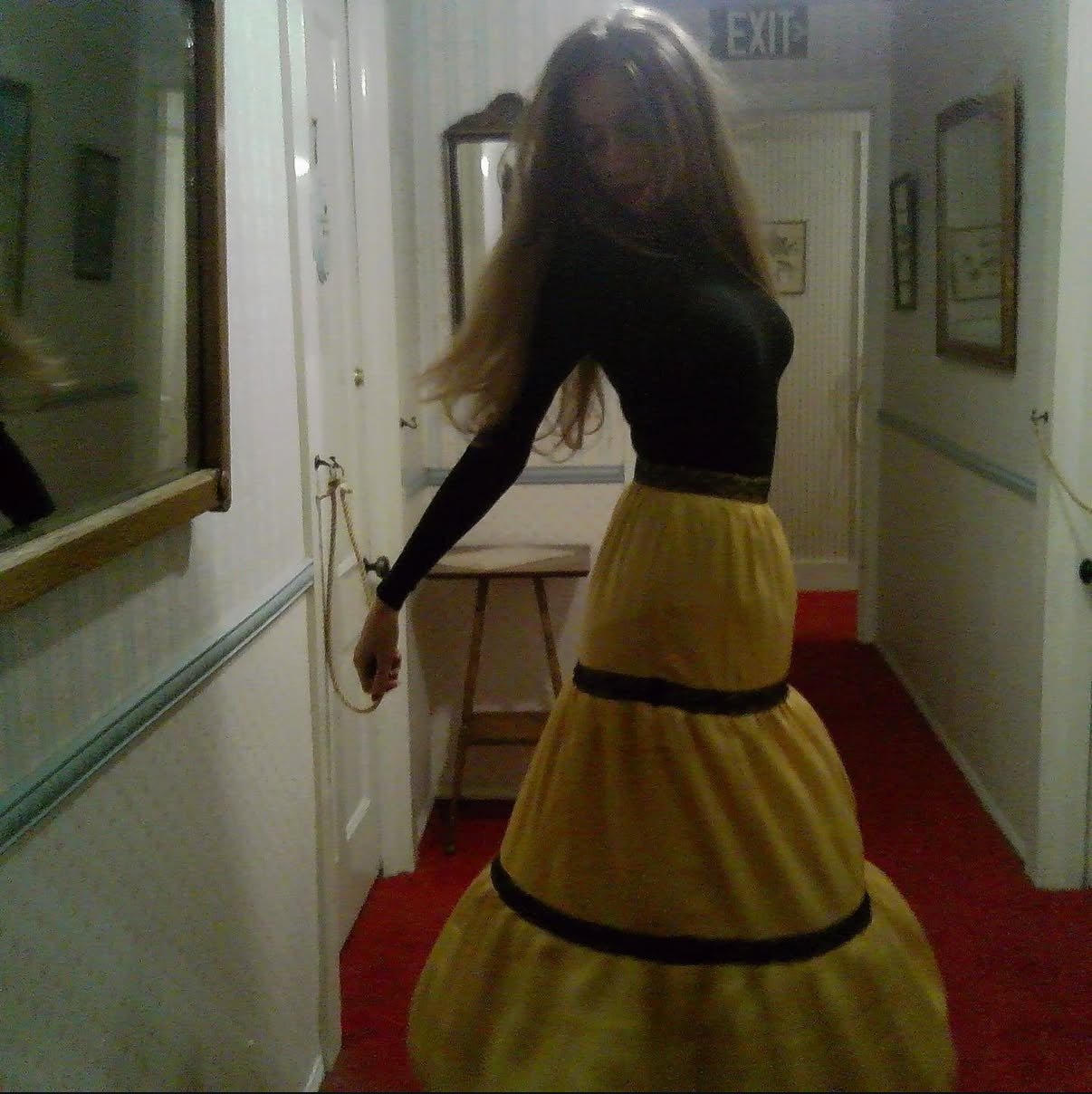 Echo in The Canyon Skirt