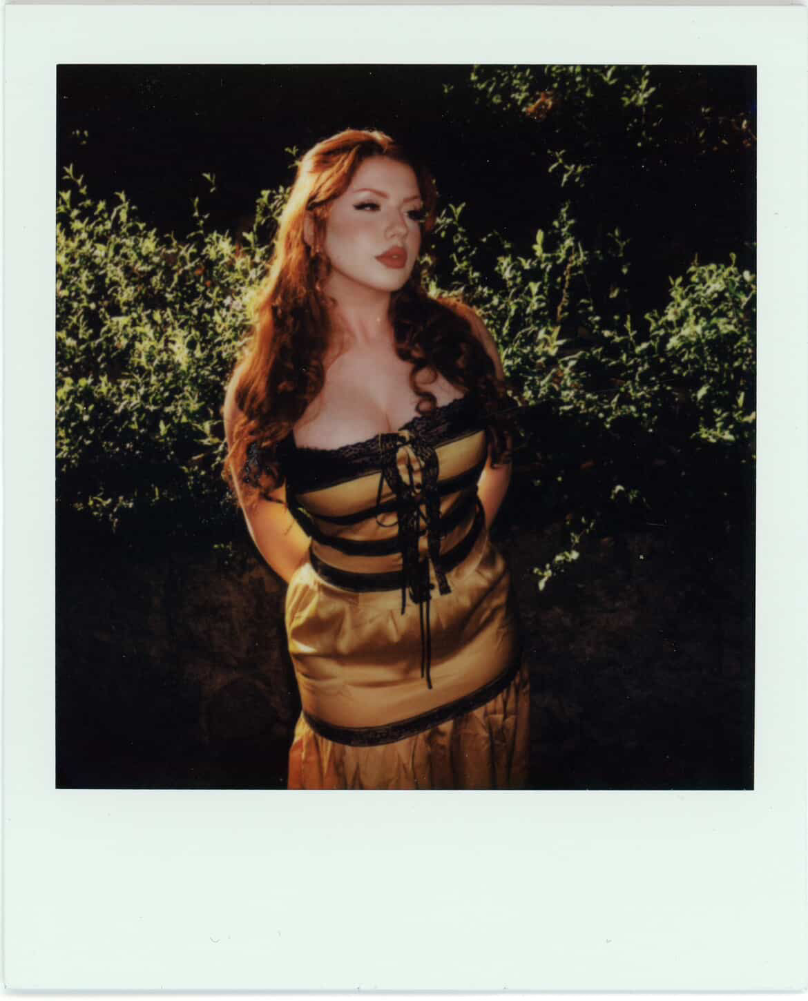 Echo in the Canyon Top