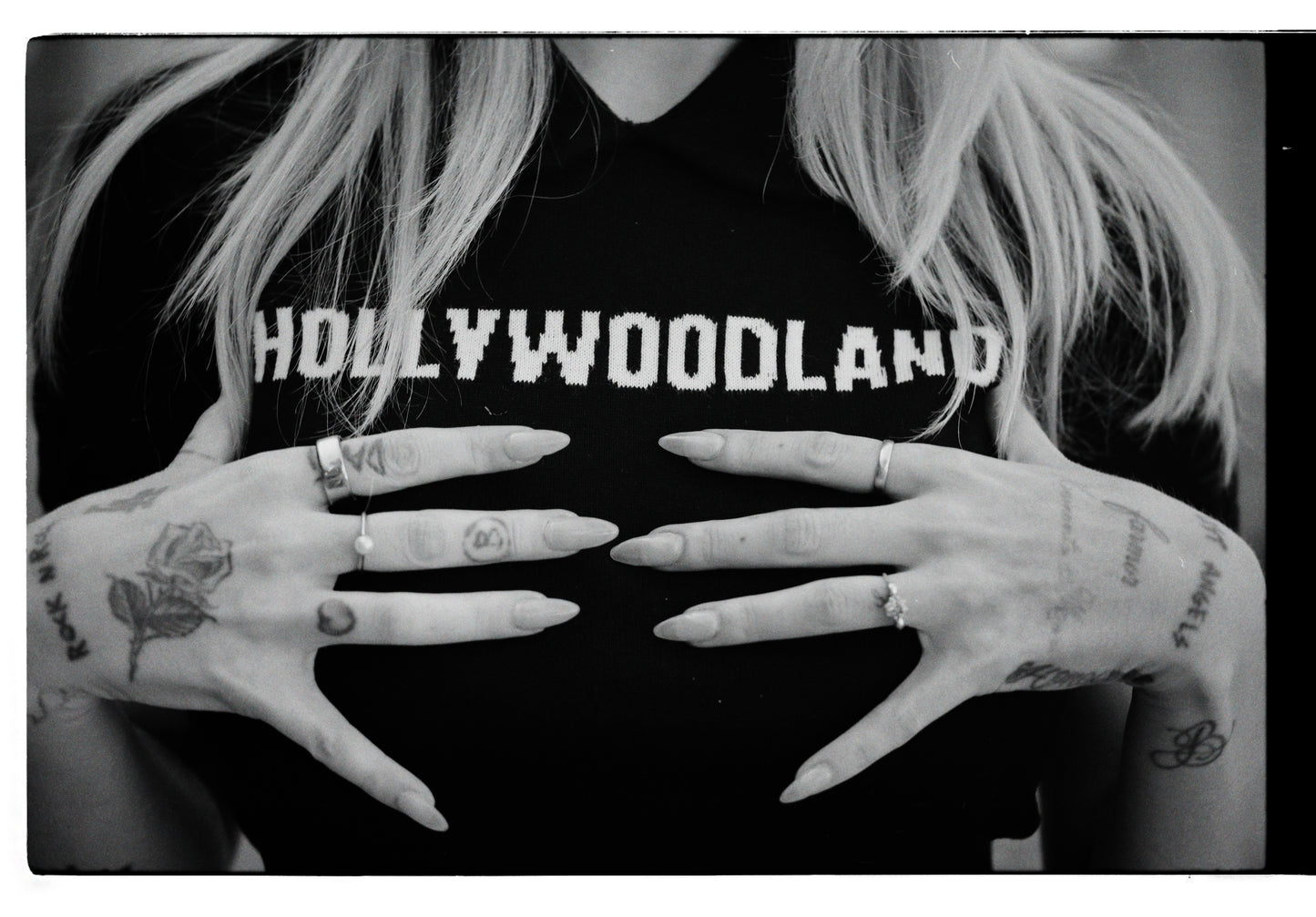 Hollywoodland Knit